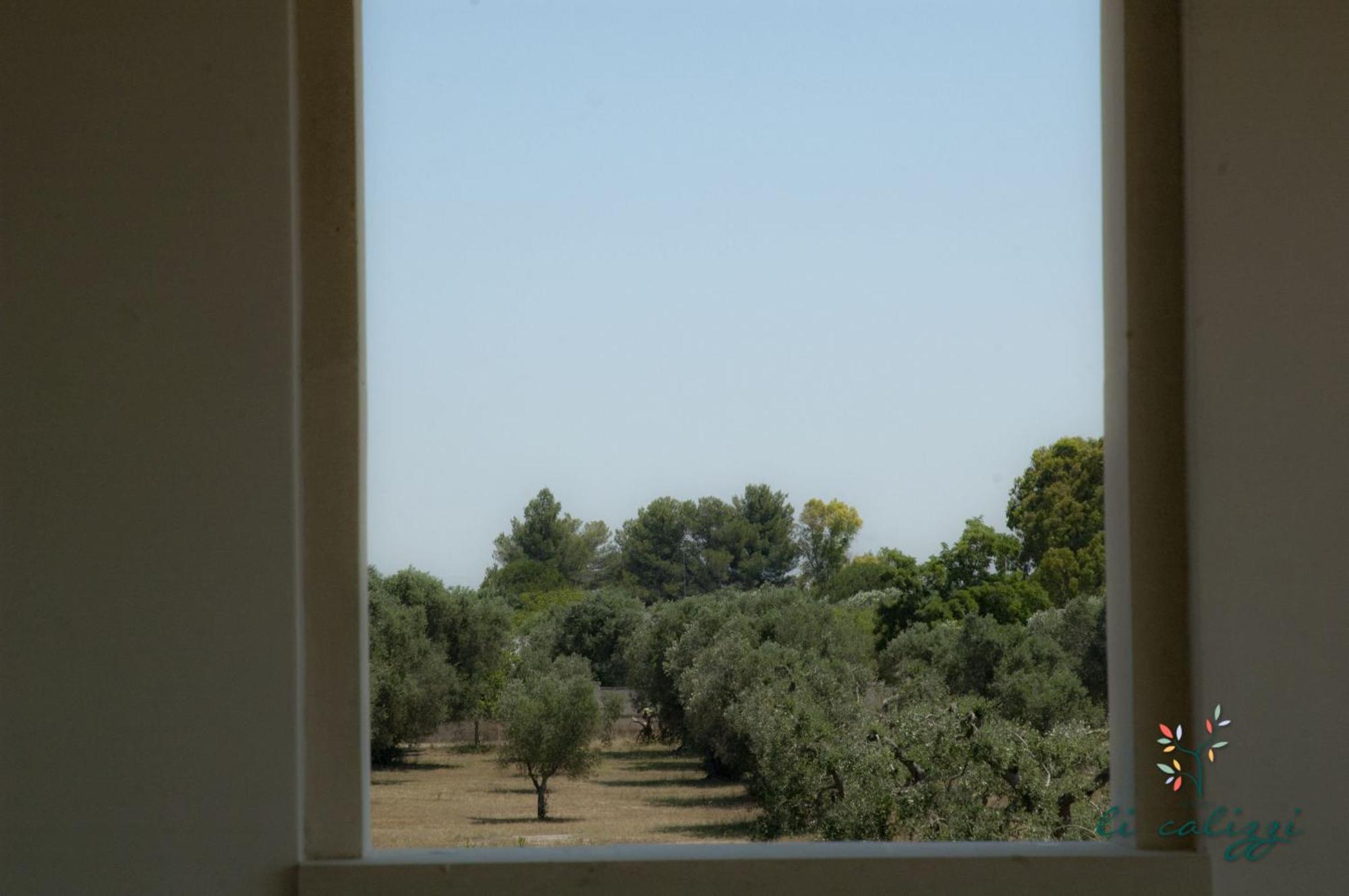 Agriturismo Li Calizzi Arte E Natura Novoli Chambre photo